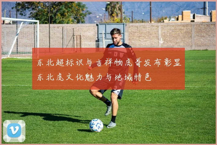 东北超标识与吉祥物虎哥发布彰显东北虎文化魅力与地域特色