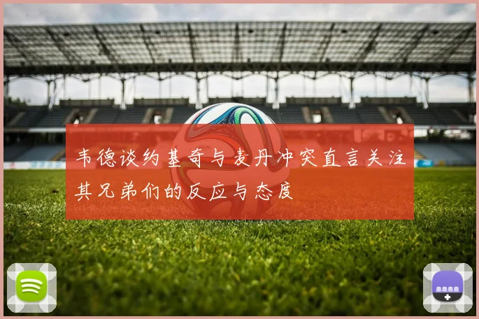 韦德谈约基奇与麦丹冲突直言关注其兄弟们的反应与态度