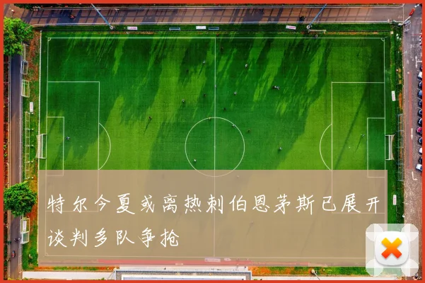 特尔今夏或离热刺伯恩茅斯已展开谈判多队争抢